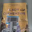 Lady Clementine: A Novel