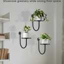 Wall Planters for Indoor Plants, Mounted Holder Shelf, Metal Plant Wall Hanger, Decorative Plant Shelf for Indoor Wall Decor (3 Pack)