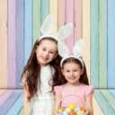 Colorful Wood Easter Backdrop 8x10FT Easter Pastel Rustic Texture Photography Background Spring Theme Party Backdrop Kids Adult Baby Shower Birthday Party Decorations Photo Props (96x120 inch)