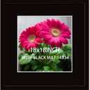 SKAOTUS 18x18 Picture Frame Black Solid Wood for Black Mat 14x14 Wall Mounting Square Poster Frames
