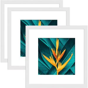 20X20 Frames, Square Picture Frame 20 by 20, Wood Photo Frame 20 x 20, Display Picture 16x16 with Mat or 20 x 20 without Mat, White Wooden Frames, 3 Pack Wall Mounting Poster Frame