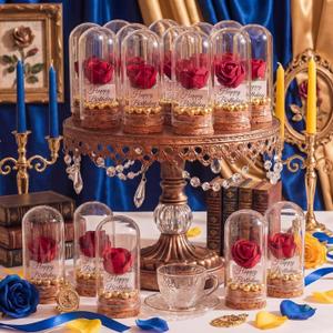Sliner 18pcs Preserved Rose Beauty in Glass Dome Bulk Beauty Cartoon Story Themed Artificial Roses in Glass Decor for Women Princess Birthday Party Keepsake Supplies Valentine's Day Gifts Decorations