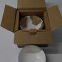 DOWAN 22 OZ White Ceramic Bowls Set of 4 - Perfect for Soup Bowls for Kitchen, Cereal Bowl, Ramen Bowl, Microwave Safe for Oatmeal, Fruit,Salad and Rice Bowl - Dishwasher & Microwave Safe
