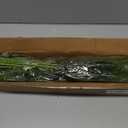 YXZZWL 16 Pcs Christmas Norfolk Pine Branches, 18 Inch Real Touch Artificial Norfolk Pine Branch Faux Cedar Pine Stem Fake Greenery Picks for Vase DIY Garland Wreath Home Decoration