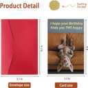 8 x ICOOLYI Funny Birthday Card and Gift for Men or Women – Hilarious and Lighthearted Decorative Design – Perfect for Friends, Family, Coworkers, Him or Her