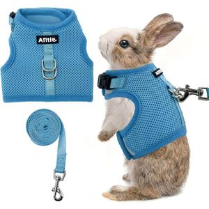 AIITLE Adjustable Rabbit and Leash Set - Lightweight & Portable, Padded Vest with Magic Tape Design, Indoor/Outdoor Use (Training, Hiking) - Fits Hamsters, Rats, Iguanas, Puppies, Cats, Blue M
