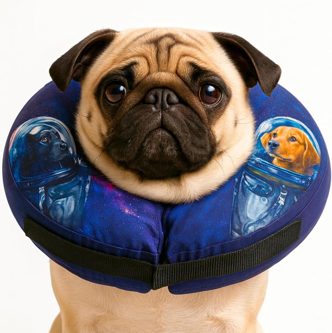 Soft Inflatable Dog Cone Collar for After Surgery Comfortable Donut E-Collar Alternative to Prevent Licking & Scratching Adjustable Recovery Collar for Small Dogs Washable Protective Neck Pillow, Neck: 11-14'' Soft Inflatable Dog Cone Collar for After Surgery Comfortable Donut E-Collar Alternative to Prevent Licking & Scratching Adjustable Recovery Collar for Small Dogs Washable Protective Neck Pillow, Neck: 11-14''