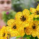 SwanMoon Artificial Flowers for Outdoor S - UV Resistant Flowers Decor, 12 Bundles