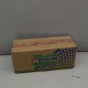 Xtreme Pro-Expert Clear Styling Gel with Aloe Vera, Alcohol-Free, 15.87 oz, 3 Pack