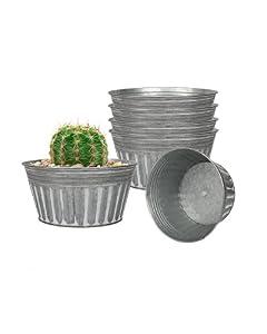 vensovo 6 Inches Silver Metal Rustic Plant Pots - 6Pcs Shallow Galvanized Planters with Drain Hole and Rubber Plug, Rustproof Tin Bucket Succulent Pot Indoor Farmhouse Vintage Style for Decor
