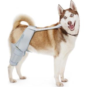 Dog Knee Brace, Support for Cruciate Ligament Injuries, Patella Dislocation for Both Back and Front Legs, Color: Silver, Size: M (M(7.3'-10.2'))
