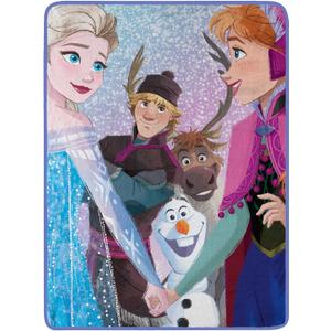Northwest Frozen Micro Raschel Throw Blanket, 46" x 60", New Family