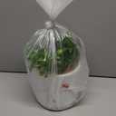 Spring Lifestyle Greenery Pot