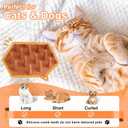 Steam Brush for Cat & Dog  3-in-1 Spritz Pet Spray Hair Removal Comb for Grooming & Shedding Steam  Water Brush for Long & Short Haired Pets Includes Two Bottles Waterless 2*Shampoo (7.8-90ML, white)