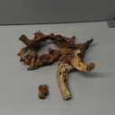 majoywoo Natural Coral Driftwood for Aquarium Decor Fish Tank Decorations, Assorted Driftwood Branch 6-10" 3 Pcs, Reptile Decor