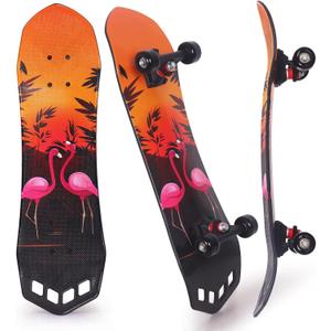 Nattork 27"x 8" Complete Skateboard for Beginners Youth Teens Kids Boys or Girls with Plastic Deck ABEC 7 Bearings