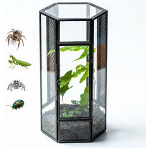 NCYP Mini Hexagon Shaped Enclosure Terrarium with Mesh, 4.1x3.6x7.8 inches Tabletop Jumping Spider, Small Insect Habitat, Vertical Placed (Terrarium Only)