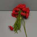 Censen 42 Pcs Artificial Poppy Flowers Bulk PU Silk Poppy Flowers 11 Inch Anemone Stems Artificial Floral Table Centerpiece Decor for Halloween Wedding Home Party Veterans Supplies(Red)