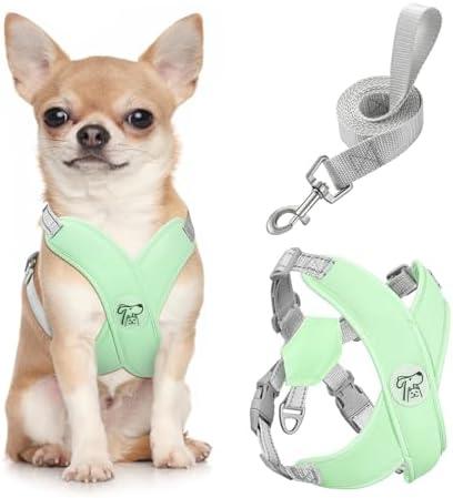 Pawaboo Small Dog Harness and Leash Set, Puppy Harness X-Frame No Pull No Choke, Dog Vest Harness Adjustable for Small Medium Sized Dogs, Soft Breathable Pet Harness for Walking Outing, S, Mint Green