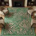 6X9 Area Rug for Living Room,Modern Abstract Pink and Green Zebra Print Rug,Non-Slip Washable,Bedroom, Dining Room, Home Office