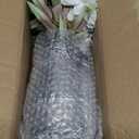 LUEUR Fake Flowers with Vase, Silk Roses Artificial Flowers in Vase Faux Flowers Arrangement Suitable for Home Kitchen Living Room, Fall Spring Decor for Office, Centerpiece Table Decorations