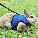PETTOM Bunny Rabbit Harness with Stretchy Leash Cute Adjustable Buckle Breathable Mesh Vest for Kitten Small Pets Walking (Blue,L) (L(Chest:10.6-13.3 in))