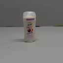 Secret Fresh Antiperspirant Deodorant for Women, 72hr Breathable Odor Protection with Pro-Hyaluronic Acid, Holiday Invisible Solid, Visions of Sugarplums with Spiced Fruit & Warm Amber Scent (2.6 Ounce (Pack of 1)