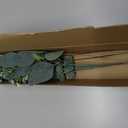 Eucalyptus Stems Bulk 30 Pcs, 4 Kinds Mixed Artificial Silver Dollar Eucalyptus Leaves Bundle Faux Greenery Branches for Wedding Vase Bouquet Floral Arrangement Centerpiece Home Decor