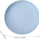 4pcs 9 Inch Lightweight Plastic Plates Unbreakable Reusable Dinner Plates Set, Camping Plate,Salad Plates, Dessert Plates for Salad Pasta Dishwasher & Microwave Safe (B)