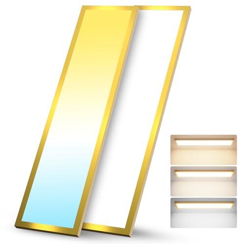1x4 FT LED Flat Panel Light Surface Mount with Gold Border-50W 5500LM 120V 3000K/4000K/5000K Triac Dimming 10%-100% Kitchen Lights Ceiling Flush Mount for Garage/Basement/Shop
