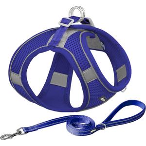 AIITLE Comfortable Dog Harness and Leash Set for Walking - Step in Vest Harness,Reflective Bands, Adjustable No Pull Puppy Essentials, for Small Dogs and House Cats Royal Blue XS (XS(Chest: 11.5 - 13.5"))