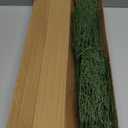 Hananona 40 Pcs Artificial Cedar Picks Faux Cedar Branches Fake Cypress Stems Plastic Pine Greenery Christmas Picks and Sprays DIY Accessories for Crafts Wreath Holiday Home Decor (40, Green)