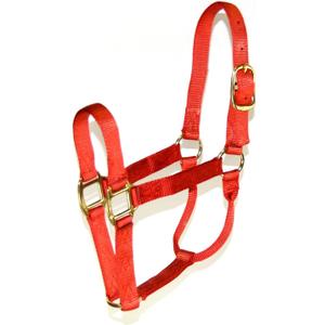 Hamilton 1-Inch Nylon Quality Halter for 1100 to 1600-Pound Horse, Large, Red Brick