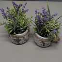 Small Fake Plants, 2 Pack Mini Artificial Plants Fake Lavender Plant in Pot, Lavender Decor and Dining Room Desk Shelf Bathroom Living Room (A-2pcs) (Purple)