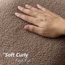 Foindtower Pack of 2, Curly Faux Fur Decorative Throw Pillow Covers Soft Fuzzy Plush Cushion Case with Zipper Cozy Pillowcase for Home Living Room Couch Bed Sofa 16 x 16 Inch, Chocolate (Cocoa)