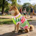 2PCS/Pack Dog Sun Shirts UV Protection Cooling Vest for XXXL Large Dogs Hawaiian Tee Shirt Sleeveless Quick Dry Soft Light Weight Stretchy Pink Red Summer Tank Top