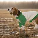 FUAMEY Dog Sweatshirt Fleece Lined for Extra Small Dogs,Dog Pullover Sweater Soft Dogs Warm Sweaters Puppy Stretchy Clothes Winter American Style Raglan Sleeve Crewneck Pullover Green XS