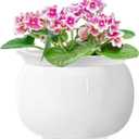 African Violet Pots, 8 Inch Self Watering Pots, Easy Plant Self Watering Pot, Ceramic Plant Pot with Absorbent Inner Pot for Flowers, Flower Pot Indoor - White