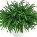 MEMOVAN Christmas Norfolk Pine Branches 18inch Artificial Green Pine Stem Real Touch Faux Cedar Pine Stem Lifelike Greenery Pines Picks Sprays for Vases DIY Flower Xmas Wreath Garland Craft Home Decor