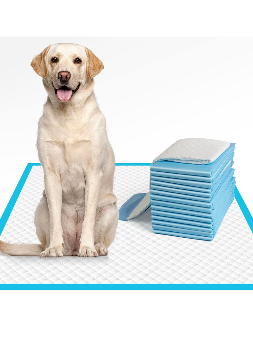 FPN Charcoal Puppy Pads 13x18 Inch  Pack of 100  Odor-Control Super Absorbent 5-Layer Leak-Proof Disposable Pee Pads for Dogs, Cats & Rabbits  Ideal for All Pets