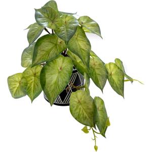 AlphaAcc Faux Plant Decor Potted Artificial Small Greenery Ivy Leaves Plants with Black and White Geometry Patterns Cement Pot for Office Desk Home Kitchen Decoration (Ivy Leaf)