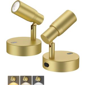 PESUTEN Spot Lights Indoor, Rechargeable Picture Light with Remote, Dimmable CCT Spotlight for Wall Art, 6000mAh Battery Uplights Indoor with Timer for Plant Artwork Painting Sofa Corner Light Gold (2PCS)