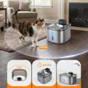 Water Fountain for Cats & Dogs 5L/169fl.oz Stainless Steel Wireless Cordless Pet Drinking Water Dispenser Cat Fountain for Indoor Outdoor &1Filter