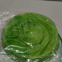 Lixit Feeder or Waterer for Chickens and Other Wildlife (64oz) (Pack of 1)