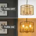 Gold Chandeliers for Dining Room,3-Light Pendant Lights Kitchen Island Round, Height Adjustable Modern Dining Room Light Fixture over Table for Kitchen Entryway Foyer Living Room, UL Listed, 13 Inch