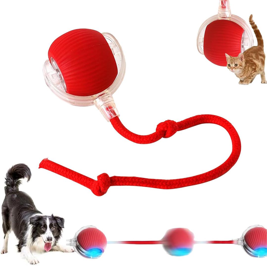 2025 New Interactive Dog Cat Toys Balls,Interactive Rolling Ball Cat Toy, 360 Smart Automatic Rolling Pet Ball, Fast Moving Toy for Dog and Cat(Red)
