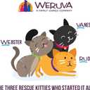 Weruva Wet Cat Food, Jeopurrdy Licious with Chicken Pate, 5.5oz Slide N Serve Pouch, Pack of 12