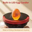 Incubators for Hatching Eggs with 1080P HD Night Vision Camera - Automatic Egg Turning & Humidity Control, 360 Visibility Incubators for Hatching Eggs, Compatible with Chicken, Duck, Quail, Pigeon.
