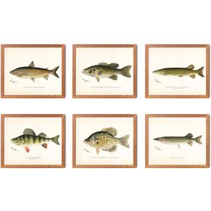 Hunt Club FreshWater Fish Wall Art Decor - Set of 6 Posters // Vintage Rustic Prints // Gift For Fisherman for Hunter // Great Lake House or Cabin or Man Cave Decor // For Father ( 8x10) 6_2_st1