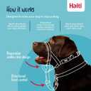 Halti Headcollar - Stop Your Dog Pulling on the Leash. Adjustable, Reflective and Lightweight, with Padded Nose Band. Dog Training Anti-Pull Collar for Dogs (Size 3, Black)